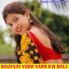 About Rojinai Yarr Yarr Kh Bali Song